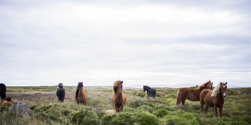 燕郊22：从通勤小镇到活力社区的蜕变之路