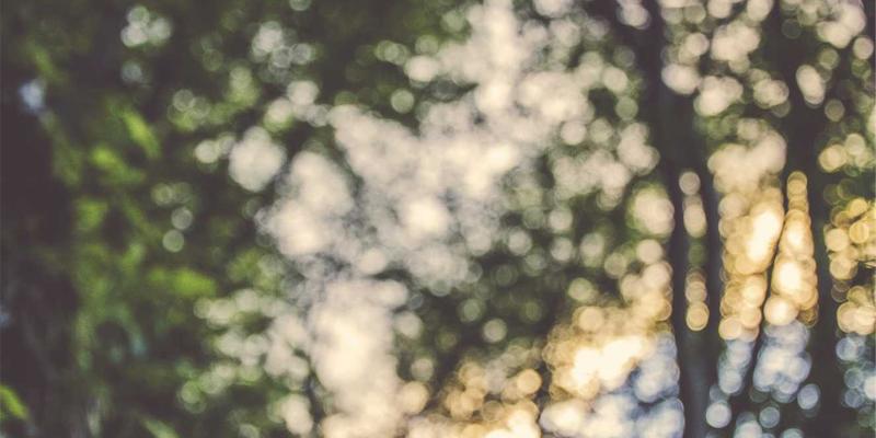 燕郊31：解锁燕郊生活新方式，便民服务与社区活力全攻略