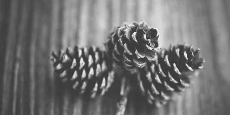 燕郊80：一个正在崛起的燕郊社区，本地生活新地标