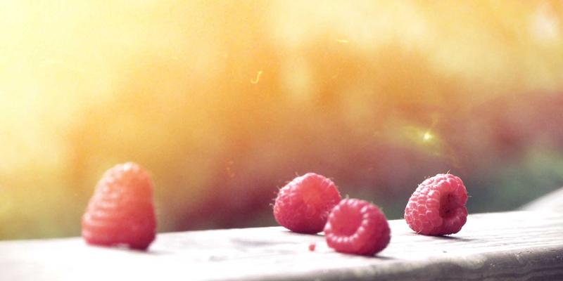 燕郊95：一站式便民服务与社区生活新指南