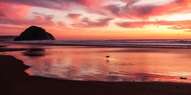 燕郊信息深度挖掘：百年庙会、民间艺术与口述历史中的便民文化传承