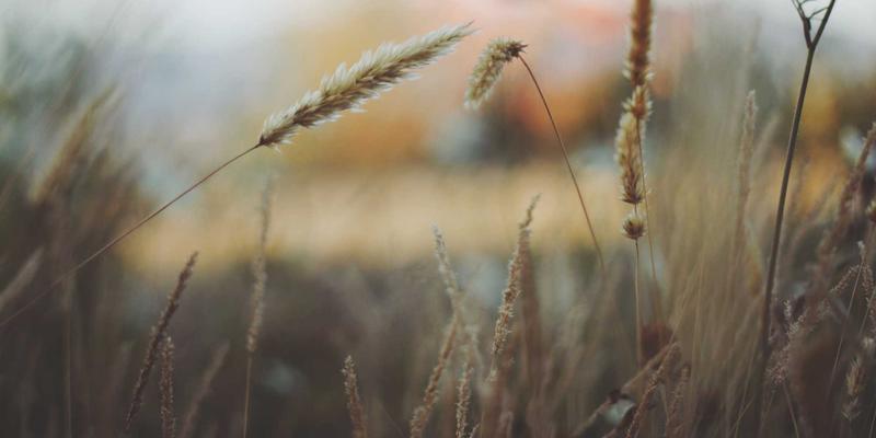 燕郊应用：一站式解决本地生活难题的智能便民服务平台