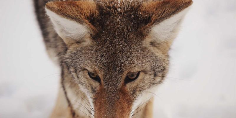 燕郊本地创业新机遇：入驻高新区，解锁“燕郊666”发展密码