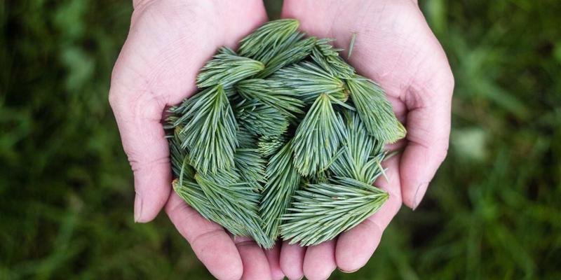 燕郊生活指南：深度测评本地商业综合体，解锁购物、娱乐与日常消费便利性
