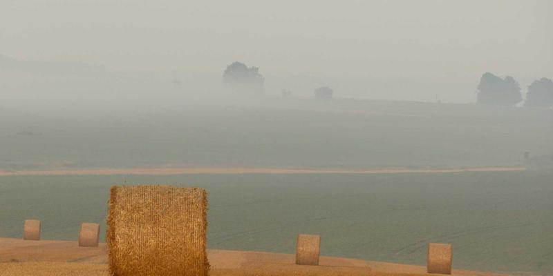 燕郊社区迎来交通新纪元：深度解读与北京副中心（通州）的桥梁与轨道衔接规划