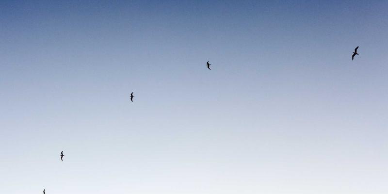 燕郊落户政策2024最新解读：人才引进与户籍办理全流程指南（附燕郊社区分析）