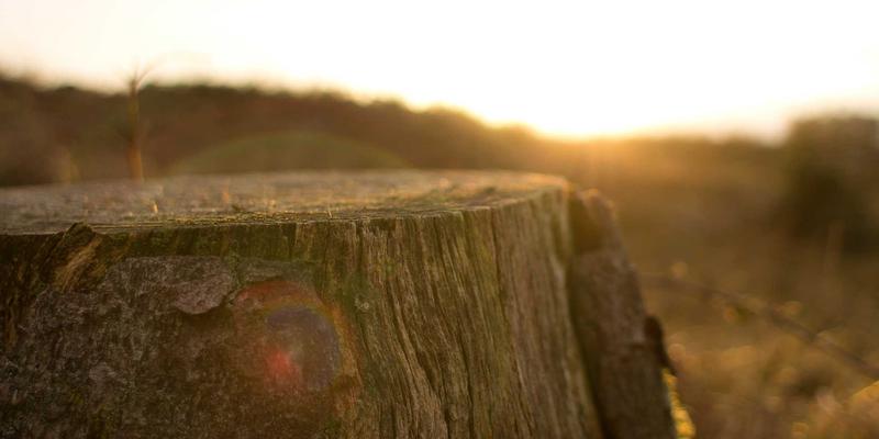 燕郊通勤北京全攻略：自驾、公交、拼车及未来地铁平谷线换乘方案 | 燕郊便民服务信息